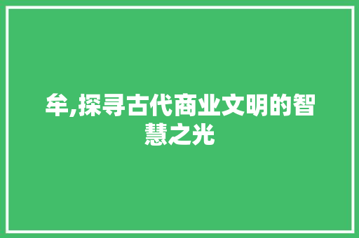 牟,探寻古代商业文明的智慧之光