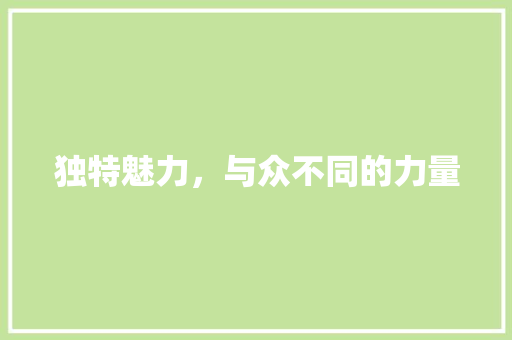 独特魅力，与众不同的力量