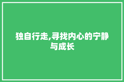 独自行走,寻找内心的宁静与成长 项目报告