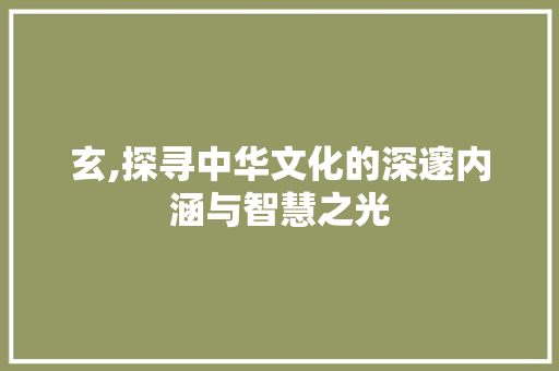 玄,探寻中华文化的深邃内涵与智慧之光
