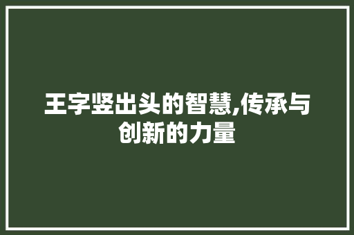 王字竖出头的智慧,传承与创新的力量