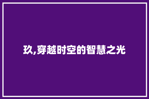 玖,穿越时空的智慧之光