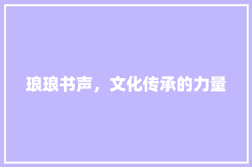 琅琅书声，文化传承的力量