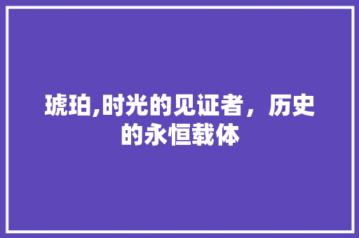 琥珀,时光的见证者，历史的永恒载体