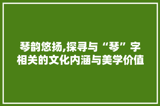 琴韵悠扬,探寻与“琴”字相关的文化内涵与美学价值