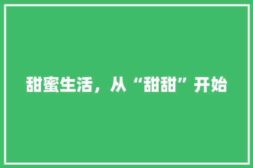 甜蜜生活，从“甜甜”开始 项目报告