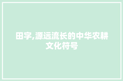田字,源远流长的中华农耕文化符号