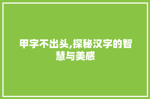 甲字不出头,探秘汉字的智慧与美感