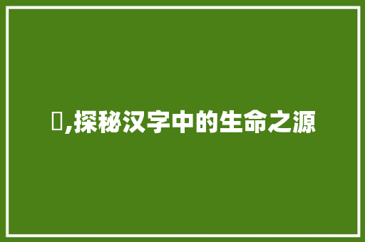 甶,探秘汉字中的生命之源
