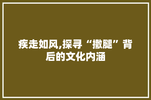 疾走如风,探寻“撒腿”背后的文化内涵