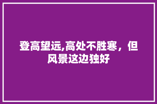 登高望远,高处不胜寒，但风景这边独好