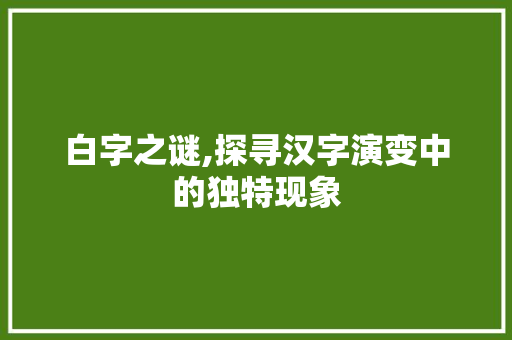 白字之谜,探寻汉字演变中的独特现象
