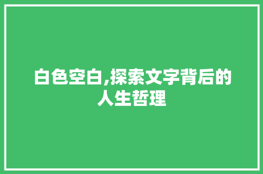 白色空白,探索文字背后的人生哲理