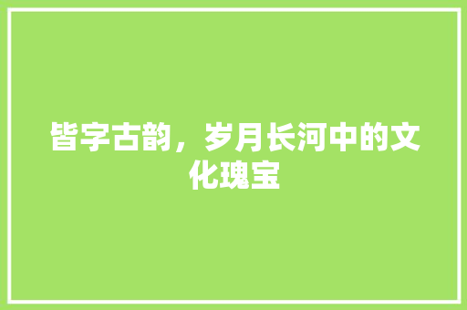 皆字古韵，岁月长河中的文化瑰宝