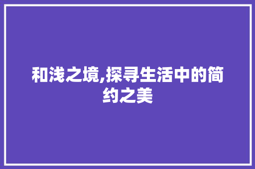 和浅之境,探寻生活中的简约之美
