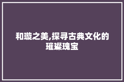 和璇之美,探寻古典文化的璀璨瑰宝 会议纪要