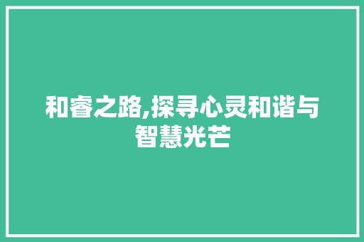 和睿之路,探寻心灵和谐与智慧光芒
