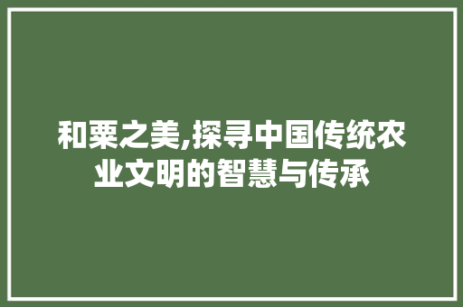 和粟之美,探寻中国传统农业文明的智慧与传承
