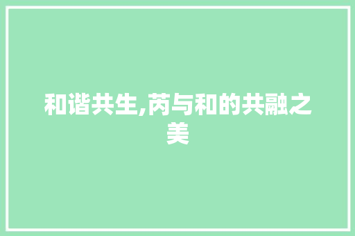和谐共生,芮与和的共融之美