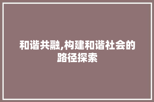 和谐共融,构建和谐社会的路径探索