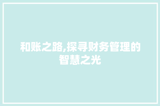 和账之路,探寻财务管理的智慧之光