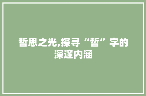 哲思之光,探寻“哲”字的深邃内涵 工作总结
