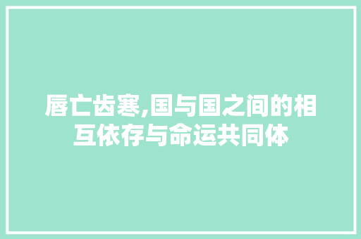 唇亡齿寒,国与国之间的相互依存与命运共同体 社交媒体