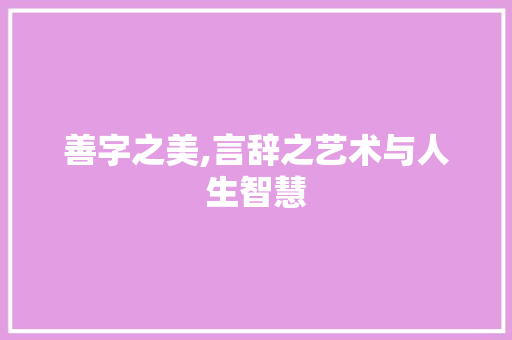 善字之美,言辞之艺术与人生智慧