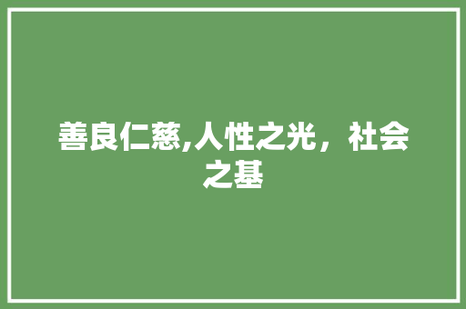 善良仁慈,人性之光，社会之基