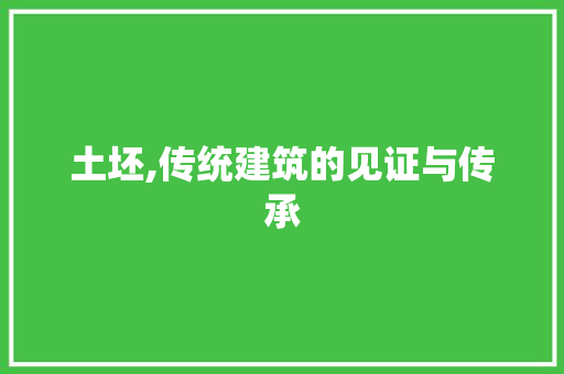 土坯,传统建筑的见证与传承
