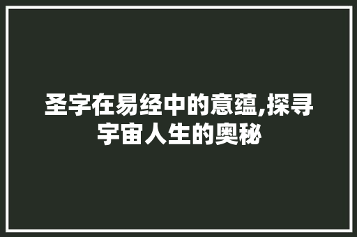圣字在易经中的意蕴,探寻宇宙人生的奥秘