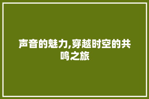 声音的魅力,穿越时空的共鸣之旅