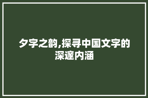 夕字之韵,探寻中国文字的深邃内涵