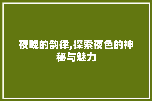 夜晚的韵律,探索夜色的神秘与魅力