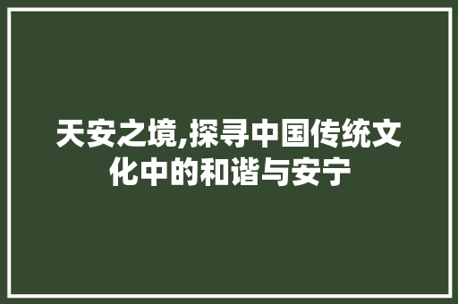 天安之境,探寻中国传统文化中的和谐与安宁 会议纪要