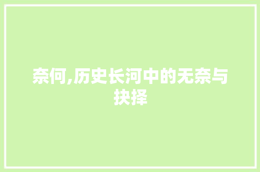 奈何,历史长河中的无奈与抉择