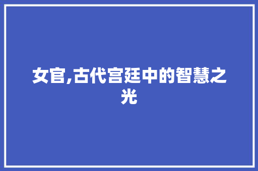 女官,古代宫廷中的智慧之光