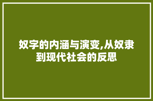 奴字的内涵与演变,从奴隶到现代社会的反思