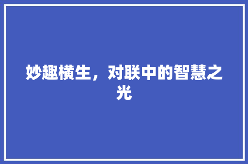 妙趣横生，对联中的智慧之光