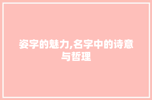 姿字的魅力,名字中的诗意与哲理 项目报告