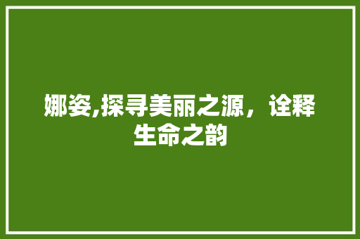 娜姿,探寻美丽之源，诠释生命之韵 会议纪要