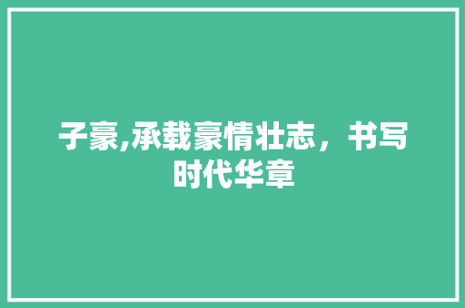 子豪,承载豪情壮志，书写时代华章
