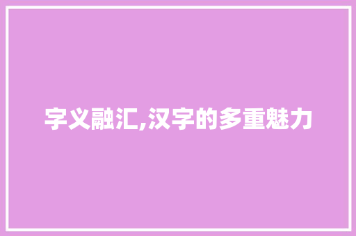 字义融汇,汉字的多重魅力