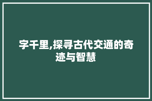 字千里,探寻古代交通的奇迹与智慧