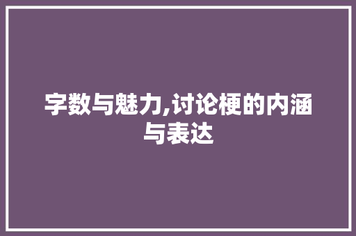 字数与魅力,讨论梗的内涵与表达