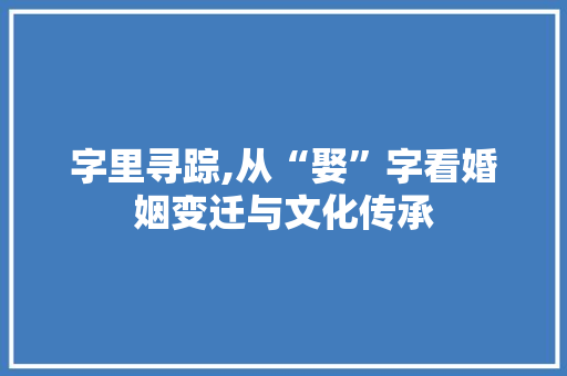 字里寻踪,从“娶”字看婚姻变迁与文化传承