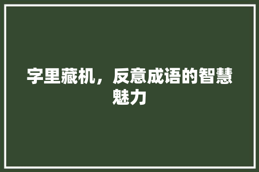 字里藏机，反意成语的智慧魅力