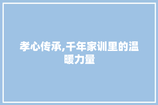 孝心传承,千年家训里的温暖力量 应用文