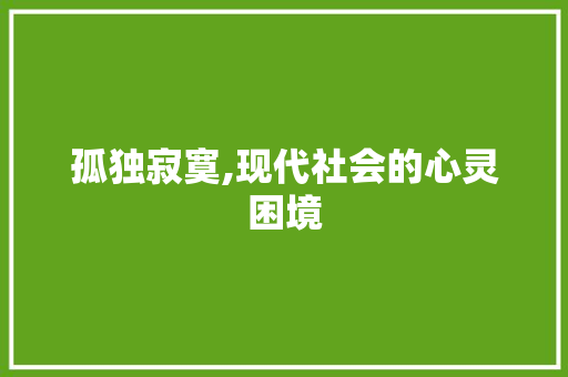 孤独寂寞,现代社会的心灵困境 应用文