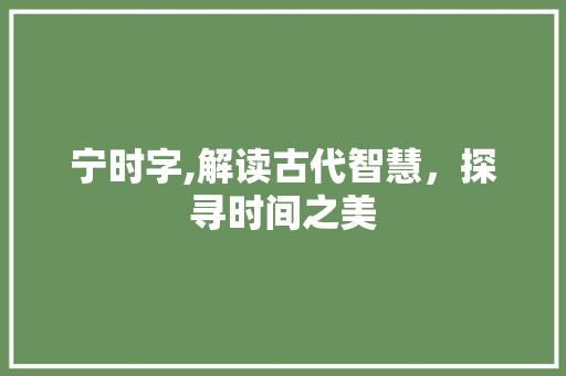 宁时字,解读古代智慧，探寻时间之美 诗词鉴赏
